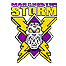 Manchester Storm