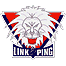 Linköpings HC