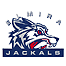 Elmira Jackals